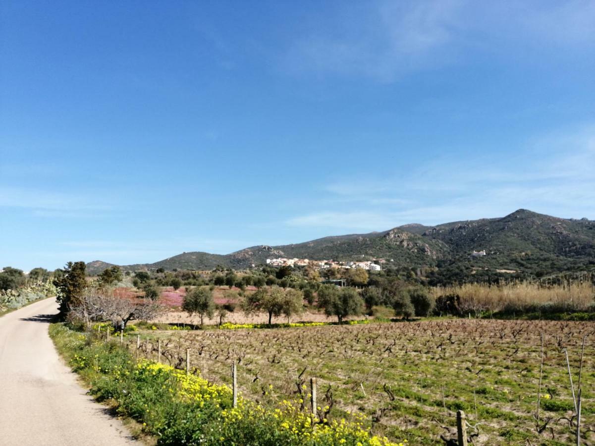 Appartamenti MareBlu Badesi Esterno foto